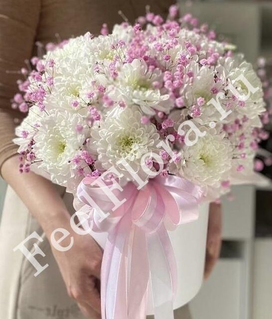 Оазис